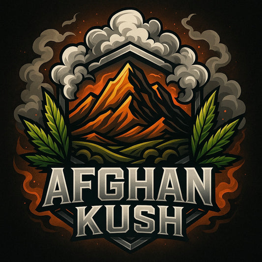 Afghan Kush | Autoflowering