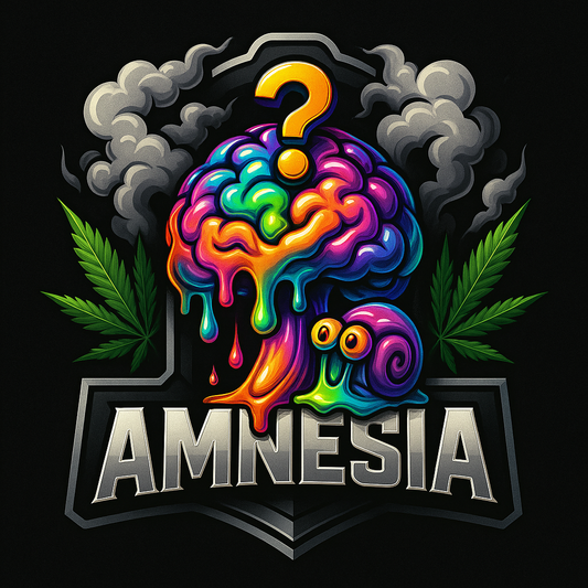 Amnesia | Autoflowering