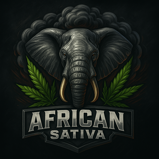 African Sativa | Autoflower