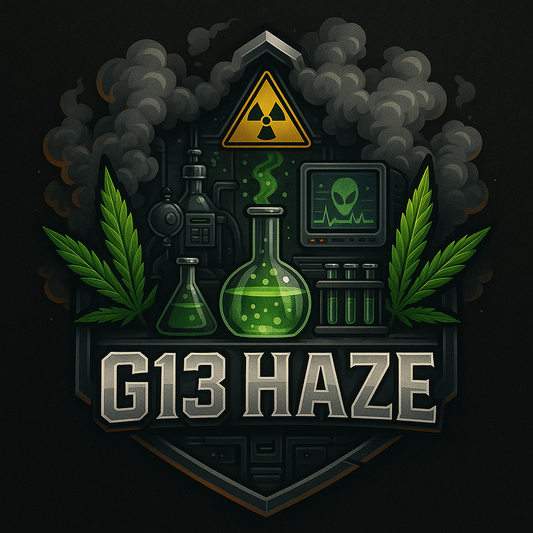 G13 Haze | Feminisiert